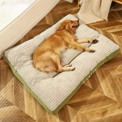 CushPaw Comfort Dog Bed - For restful sleep and vital days