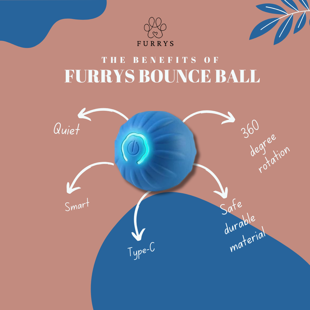 Furrys Smart Bounce Ball