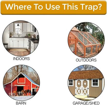 InnoTrap | The Clever Alternative to Conventional Traps: Mouse Trap with Flip Lid