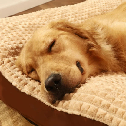 CushPaw Comfort Dog Bed - For restful sleep and vital days