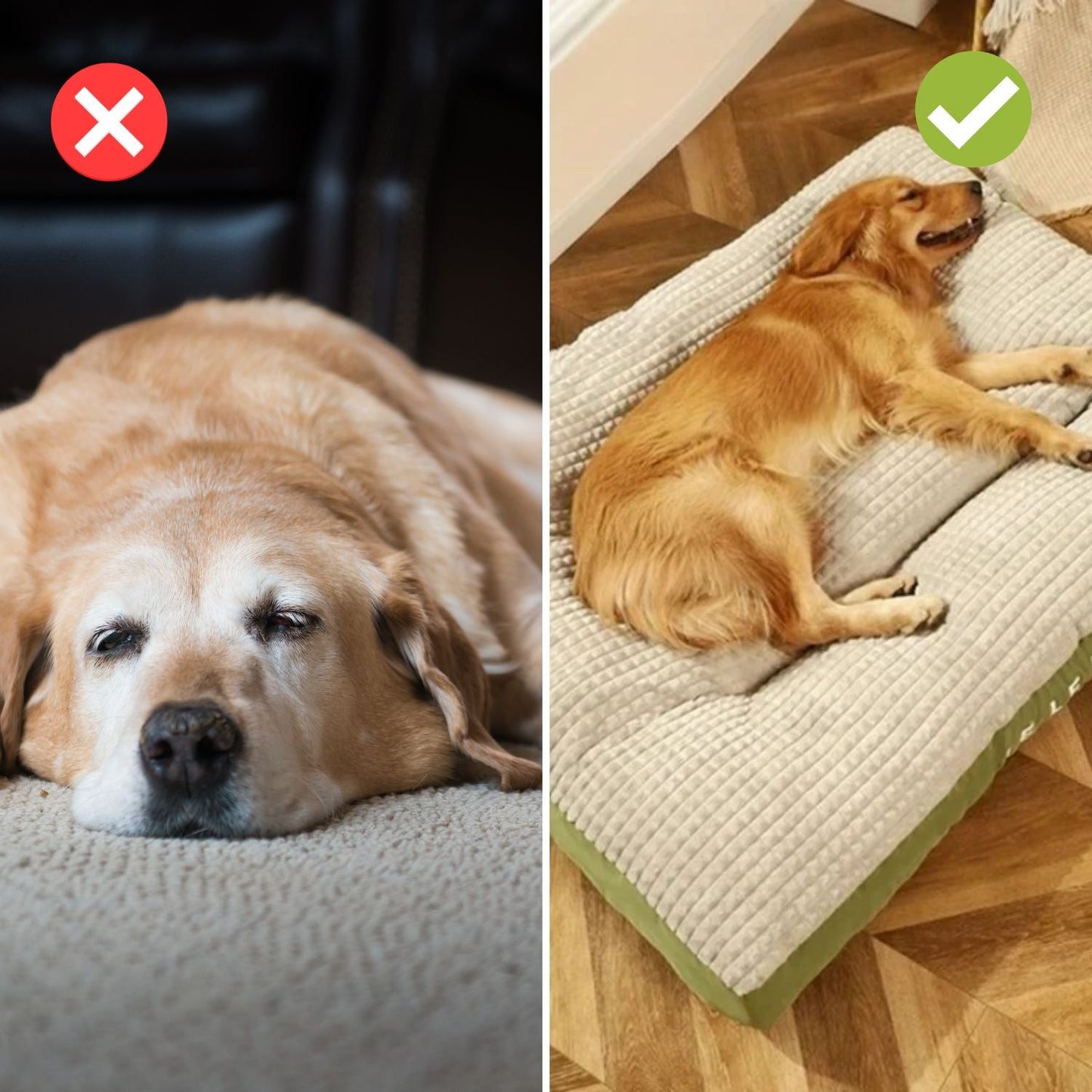 CushPaw Comfort Dog Bed - For restful sleep and vital days