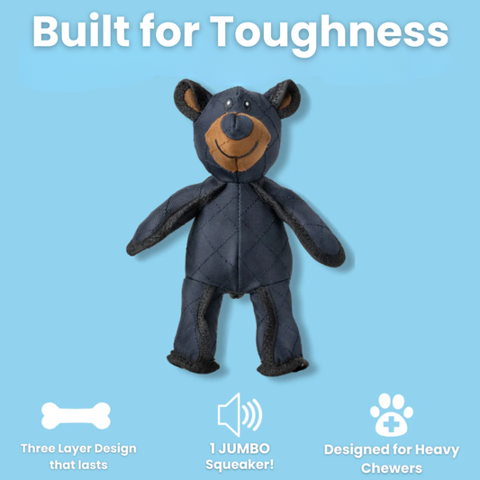 IndestructaBear | Tough Play, Happy Paws